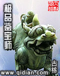 极品鉴宝师txt下载