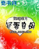 贤妻良母txt下载
