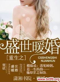重生之盛世暖婚