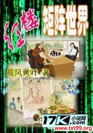 红楼矩阵世界