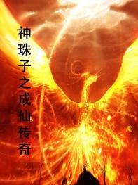 神珠子之成仙传奇txt下载