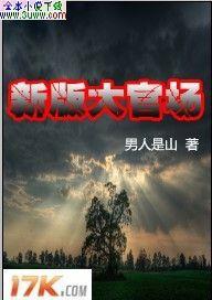新版大官场txt下载
