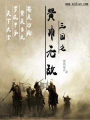 三国之黄巾无敌txt下载