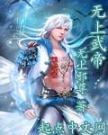 无上武帝txt下载