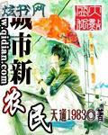 城市新农民