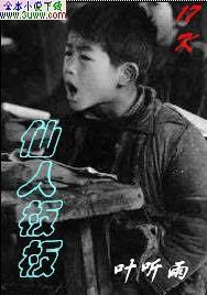 仙人板板