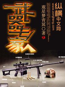 武器专家txt下载