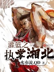 灌篮之执掌湘北txt下载
