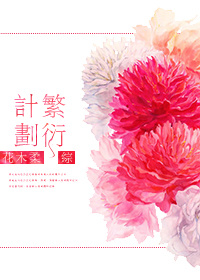 繁衍计划