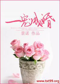 一宠成婚txt下载