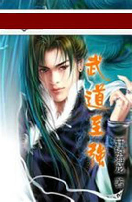 武道至强