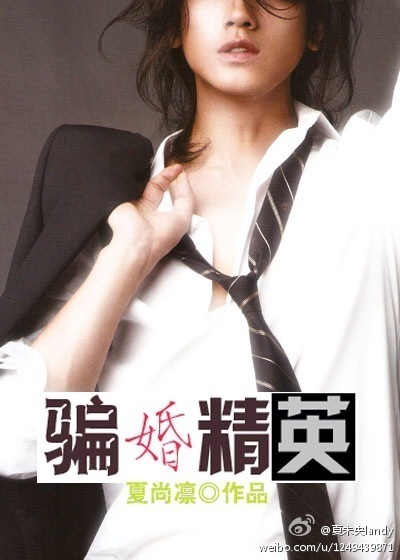 骗婚精英