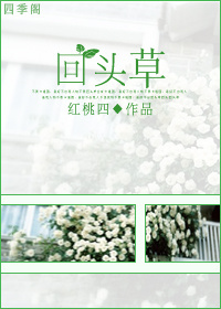 回头草