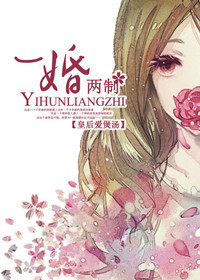 一婚两制(高干)