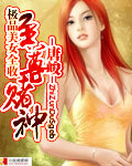 极品美女全收:至尊赌神
