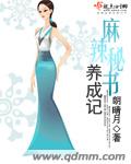 麻辣秘书养成记