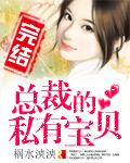总裁的私有宝贝txt下载