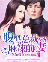 腹黑总裁vs麻辣前妻