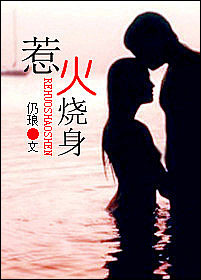惹火烧身(高干)