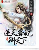 逆天兽妃御天下