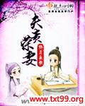 夫贵荣妻txt下载