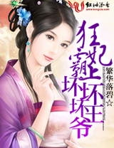狂妃霸上坏坏坏王爷