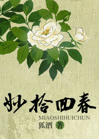 妙拾回春txt下载