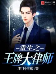 重生之王牌大律师txt下载