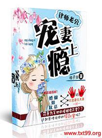 律师老公宠妻上瘾txt下载