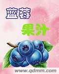 蓝莓果汁